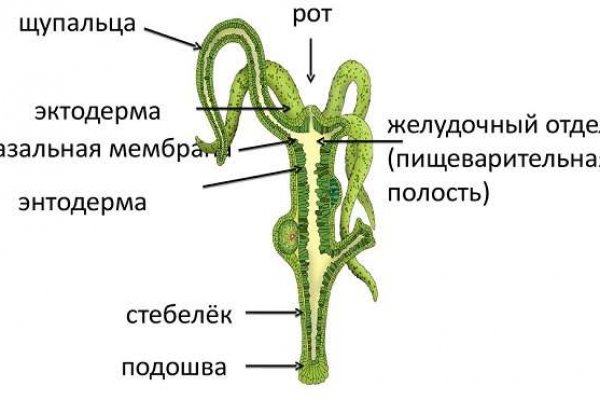 Рабочая ссылка на кракен